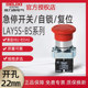 德力西急停开关LAY5S-BS545自锁蘑菇钮LAY5-BS542 Φ40/30 1开1闭