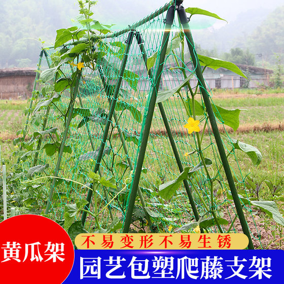 黄瓜架种菜爬藤架豆角支架阳台庭院蔬菜固定架杆柱园艺攀爬牵引杆