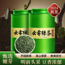 2024 New Tea Tea, Mingqian Green Tea, High Mountain Misty Spring Tea, Strong Aroma, Adequate Sunshine, Maojian Tea, Bulk Filling