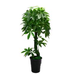 Large floor-bottomed potted planted plastic living room fake tree