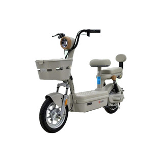 
[Wang Yibo Endorsement] Tailing Electric Vehicle Tailing Big Fruit New National Standard Electric Lead-acid Battery 48V20Ah