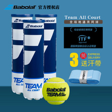 Babolat Gold Tennis Team 3 шт. 4 шт. Матч-тренинг по теннису