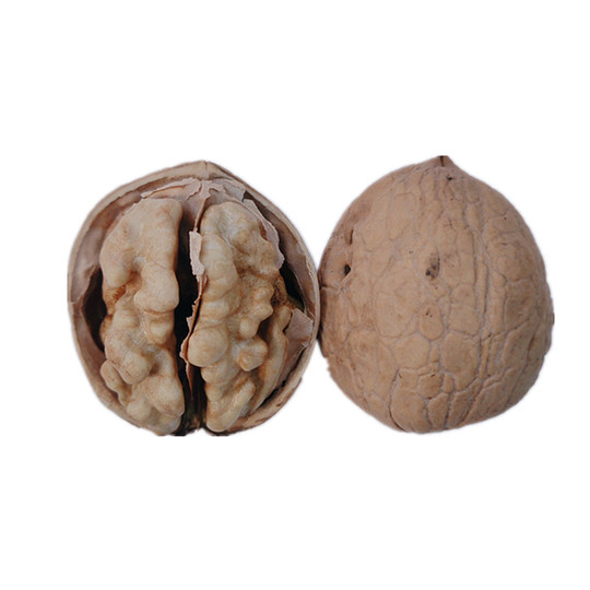Paper Walnut 2022 Xinjiang Paper Walnuts 2 Catties Dried Fruit Snacks Original Color
