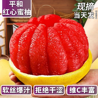 2025年11月7日更新【万能白菜价】的图片 第13张