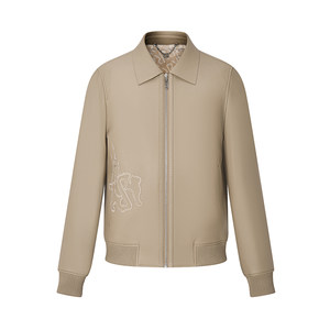 
RARE Weiya Men's Clothing, autumn and winter new style, trendy khaki classic lapel men's leather jacket