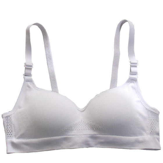 Gatinini no steel ring underwear girl big breasts show small bras gathered in summer thin and parallel milk sagging
