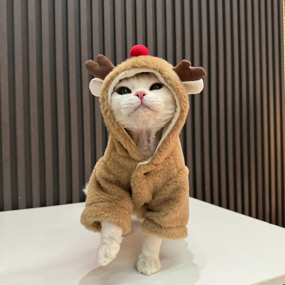 圣诞麋鹿皮草任发财德文猫无毛猫衣服斯芬克斯猫