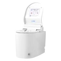 Danjieer No Water Tank Automatic Toilet Seat Cushion Change Set With Heating Electric Pad