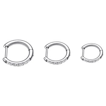 
F136 Titanium Alloy D-type Straight Pin Earrings Earrings for Women