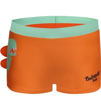 BE Van Dan fashion children's swimming trunks dinosaurs