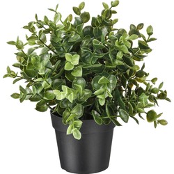 ikea Ikea fejka Fika artificial plant potted plant