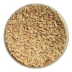 
Farm rice rice with shell grain to feed chickens, ducks, geese, pigeons, hamsters pet feed with shell rice millet