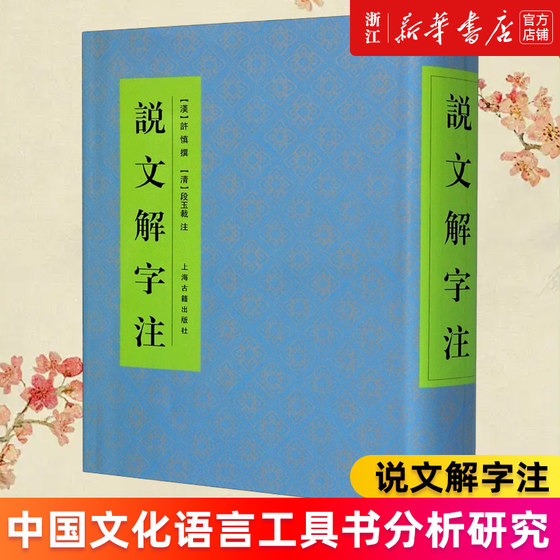 说文解字注 中国文化语言工具书分析研究 字体解析  (汉)许慎撰 工具书 语言文字 正版书籍