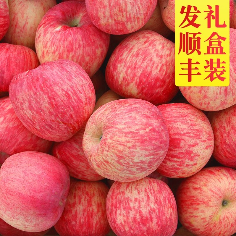 陕西延安洛川红富士新鲜苹果脆甜整箱礼盒装 15枚70