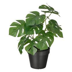 fejka Fijka interior decoration plant Monstera