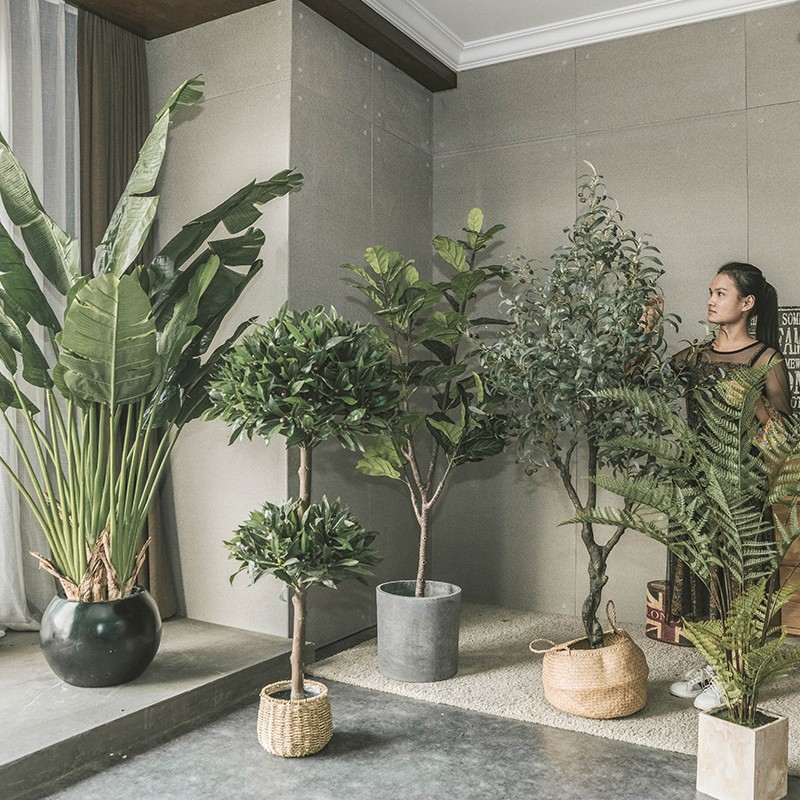 仿真绿植旅人蕉假植物室内客厅装饰琴叶榕假树大型落地盆栽摆件
