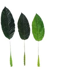 Flower arrangement banana leaf wedding scene arrangement simulated plants
