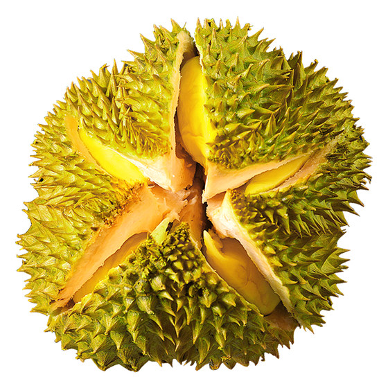 
SF Authentic Thai Golden Pillow Durian Seasonally Imported Fresh Fruit Whole Shelled Palm Durian Meat Free Shipping