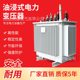 户外油变S9变压器S11-160KVA油浸式变压器10kv三相电力变压器