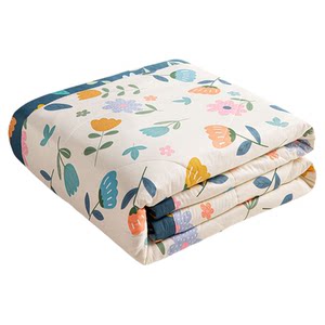 Jeeliya whole cotton cotton summer is washed by cotton air conditioners by summer, Xinjiang Xinjiang cotton thin quilt was washed by cores