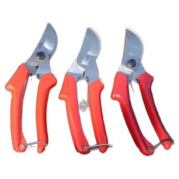 Gardening branches cutting gardening tool Scissors scissors scissors Spring fruit cutting garden scissors scissors and cut flowers
