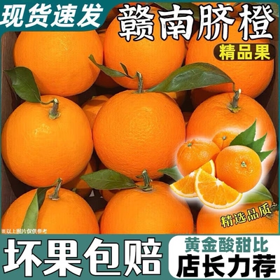 2025年10月13日更新【万能白菜价】的图片 第3张