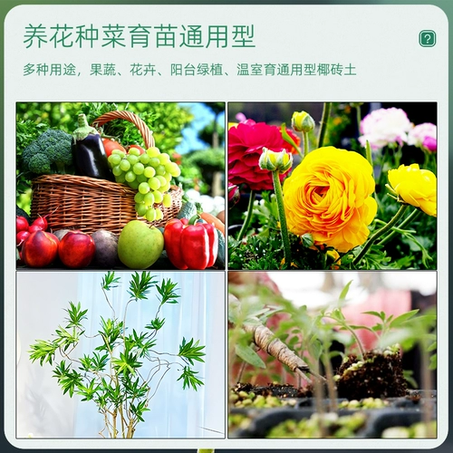 Кокосовые кирпичные пищевые овощи в почве, большие кусочки больших кусочков обезвоженных, стерильных полинутов, кокосовая почвенная почва, кокосовые отруби, грубая кокосовая раковина посадка