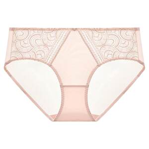 
[Call coupons 159 yuan/5 pieces] Lan Zhuoli Shopping Mall same style briefs for women pure cotton bottom crotch medium low waist lace
