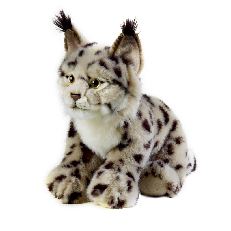 O1CN01StIobH1p9gxNucra8_!!