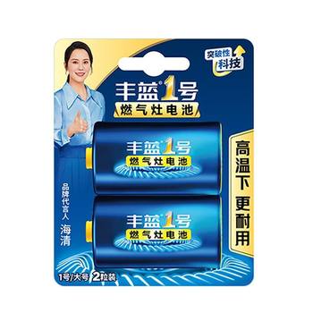 Nanfu Fenglan No. 1 battery gas stove water heater large