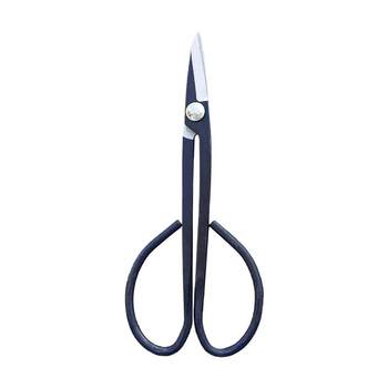 Leaf buds, bonsai orchid buds, seedlings, picking
