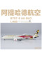 NG 55117 阿提哈德航空波音B787-9 A6-BLO 成品合金飞机模型1/400