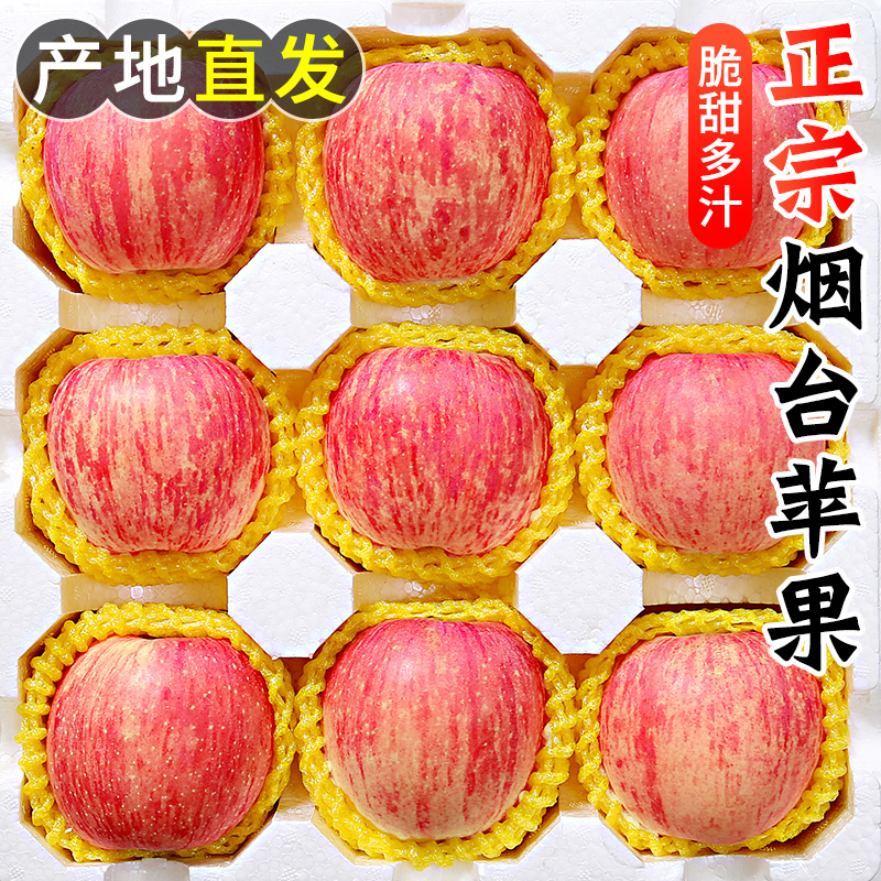 烟台红富士苹果水果9斤新鲜山东栖霞特产脆甜丑萍果当季整箱5包邮