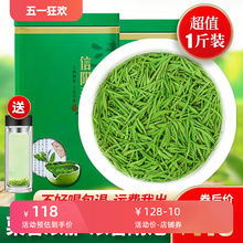 Xinyang Maojian 2024 New Tea Pre Rain Sprout 500g