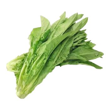 Oily wheat rapeseed oily wheat rapeseed seeds