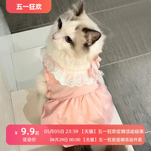 Костюмы для кошек, тыквенные юбки, чтобы не испортить весну и осень