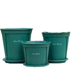 Qingshan Basin Root Control Flower Pot Thickened Large Gallon Basin New Plastic Manufacturer Direct Sale Balcony Durable Special Price Free Shipping
