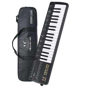 Chimei music theory professional performance grade male and female mouth organ