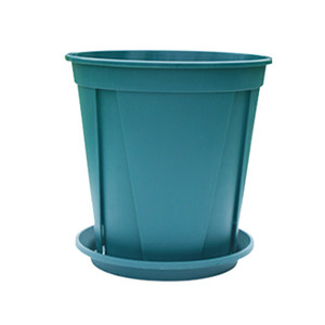 Qingshan Basin Thick Control Root Pen Domestic Three -generation Plastic Band Call Lulun Rose Mochonal Platty Perception and Not Roots Free Shipping