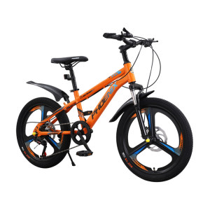 Phoenix Children's Bicycle 6-9-13 Years Old Boy and Girl Primary School Student Speed ​​Transmission Vehicle Medium Children's Bicycle Disc Brake Mountain Bike

