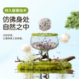 比亿奇 Песок с лимонной кошкой, песчаная земля, расположенная без пыли без пыли доставки 20 кг подлинного рудного песка 40 фунтов доступного кошачьего песка