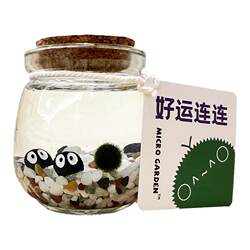 MICROGARDEN Creative Mini Plant Novelty