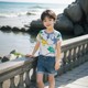 童装夏季新款 韩版儿童纯棉短袖T恤恐龙卡通宝宝衣服kids wear薄