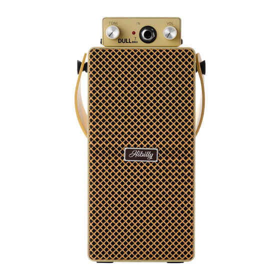 Hibilly Hibilly Dull series outdoor charging Bluetooth mini electric guitar bazzis speaker audio
