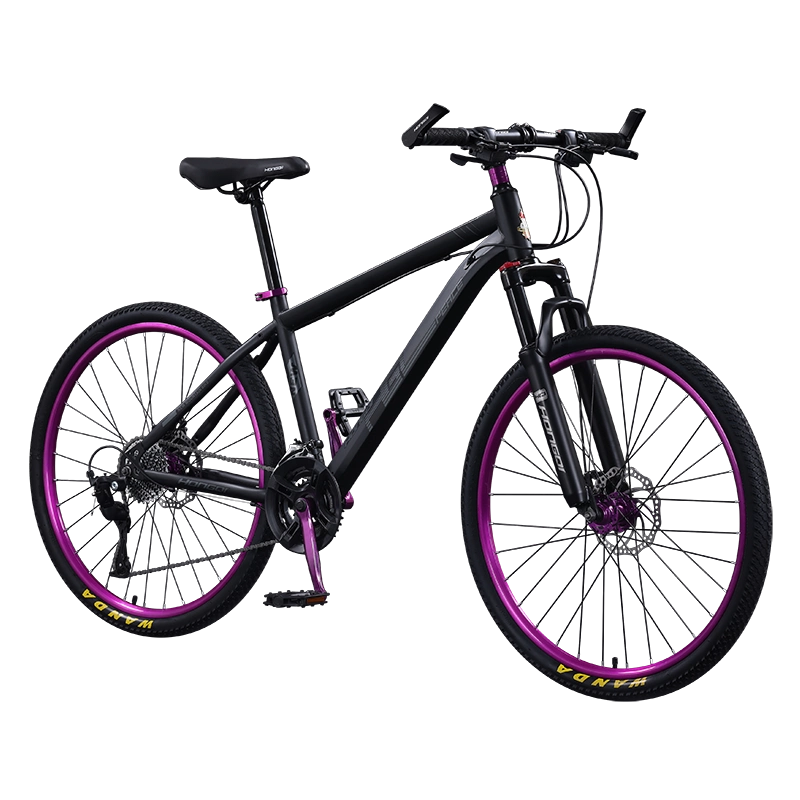 红旗官方旗舰店铝合金山地自行车男成人越野变速公路紫配青