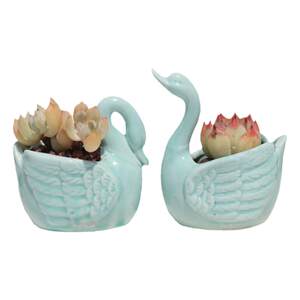 
Tao Ranzide's new creative succulent flower pot, coarse pottery breathable basin, small fresh animal basin, ceramic swan basin