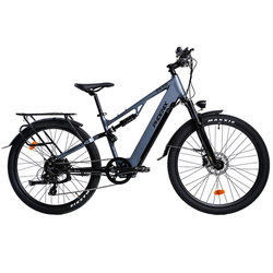Phoenix Torque Motor Softail Electric Power-Assisted Bicycle Oil Disk Air Pressure Shock Absorbing Front Fork Mountain Electric Bike