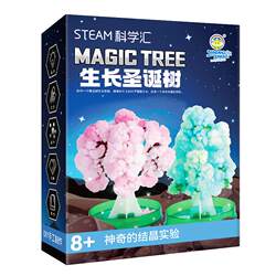 Children's Paper Tree Blossom Science Experiment Christmas Gift