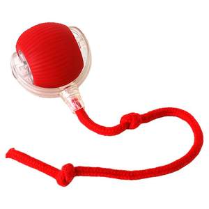 Cat toys automatically teasing cat ball Self -relief, Small Smart Stuff, Smart Stub, Catal Constellation Consumption Stealing Ball Electric Dog Ball