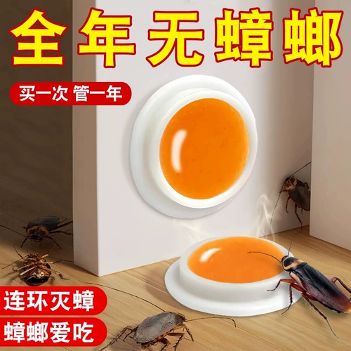 Медицина для таракана. Домохозяйство в помещении не -токсичная цельная гнездо -резиновая приманка кухня убийство маленького Johnshill Notema Special Effect Artifact 1